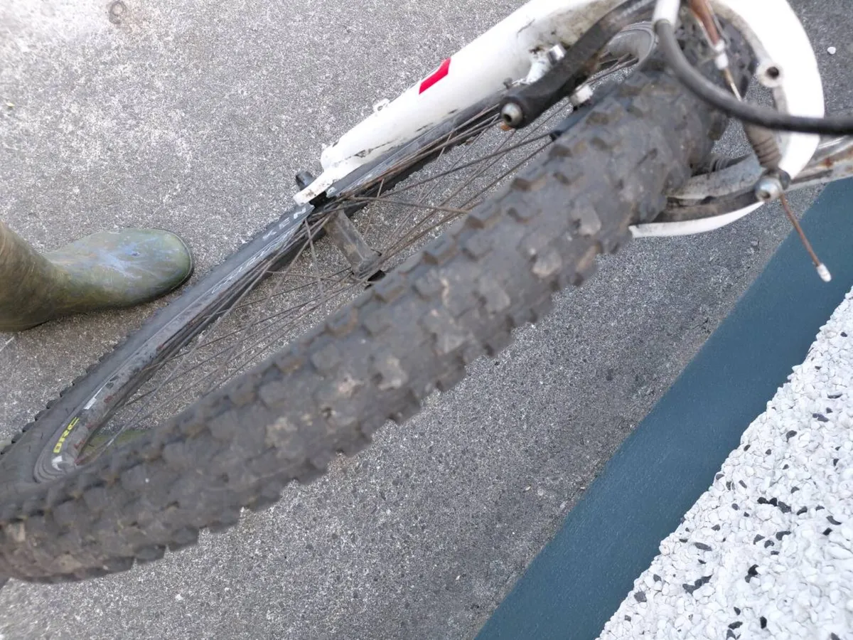 Bicyle - Image 4