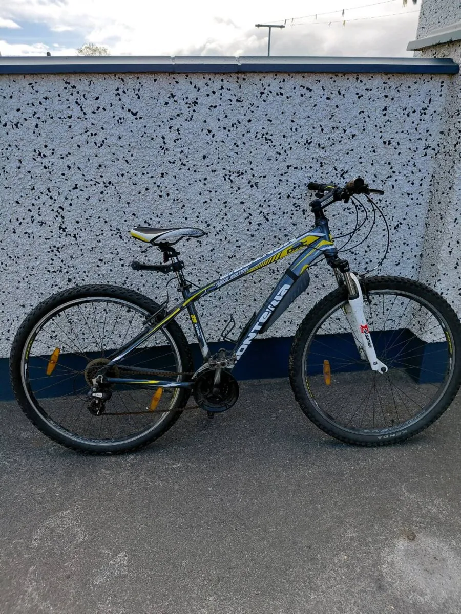Bicyle - Image 1