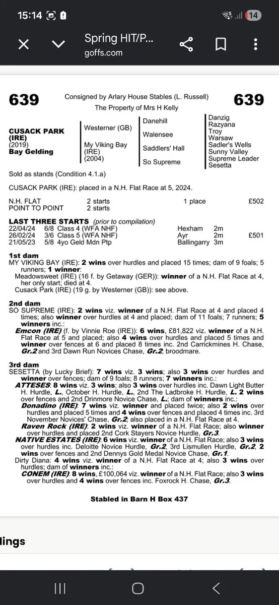 Horse - Image 2