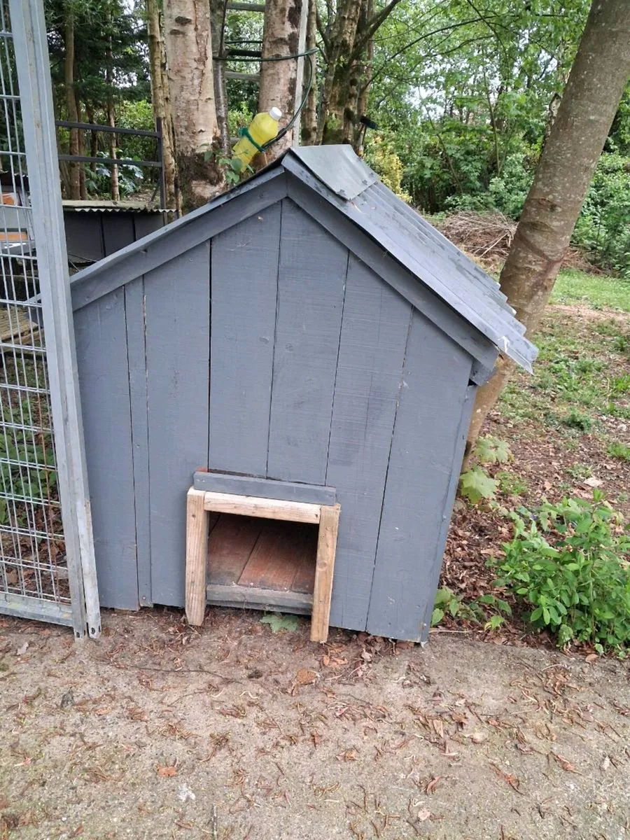 Dog pens - Image 4