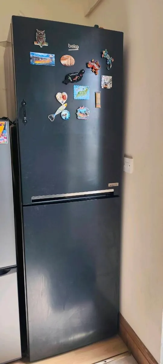 Beko Fridge freezer - Image 1