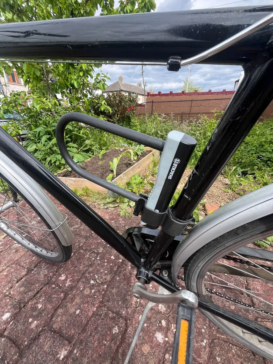 Bike - Image 2