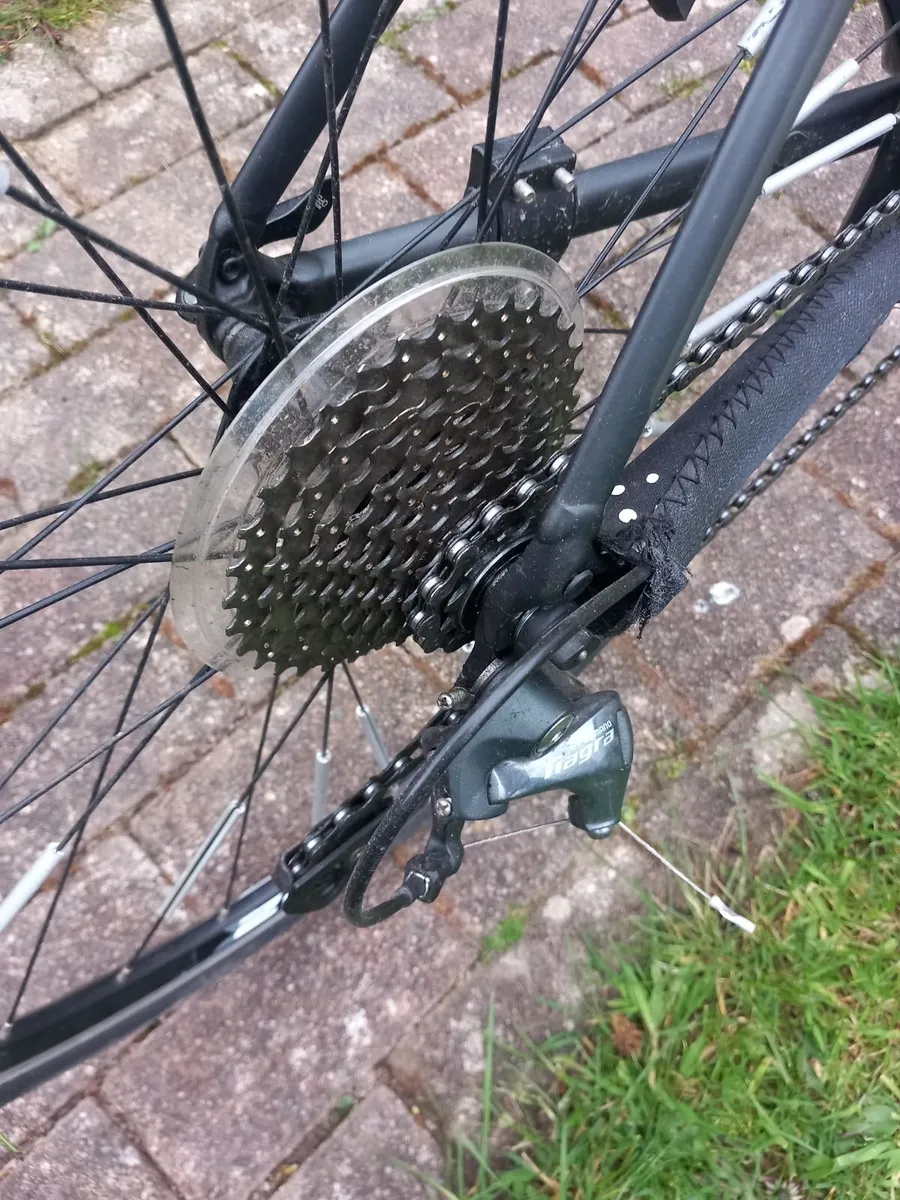 Giant Contend SL 2 (2019) - Image 3