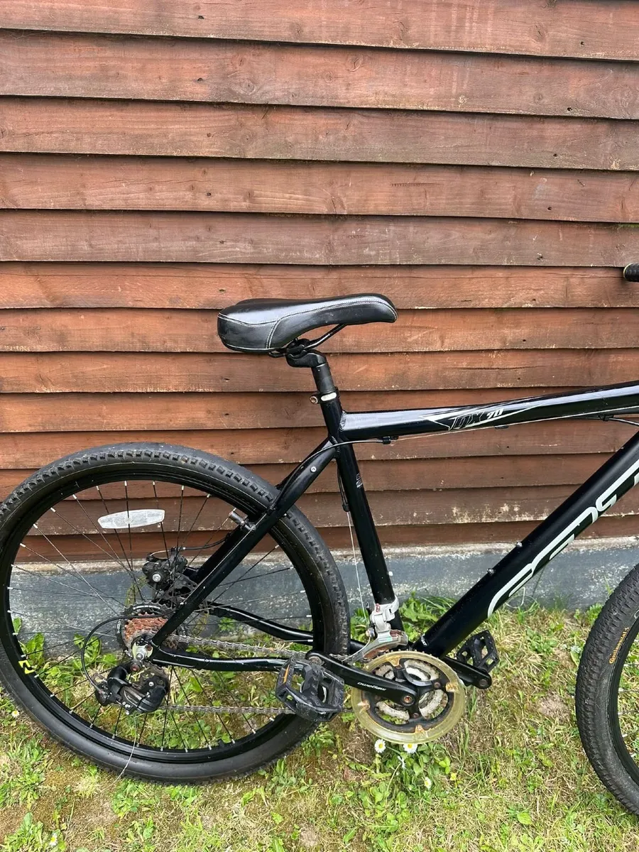 Bike - Image 2