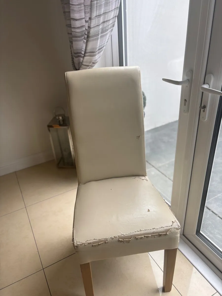 Dining chairs - Image 3