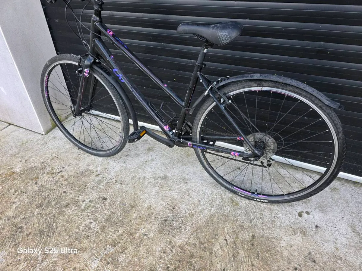Ladies adult bicycle - Image 1