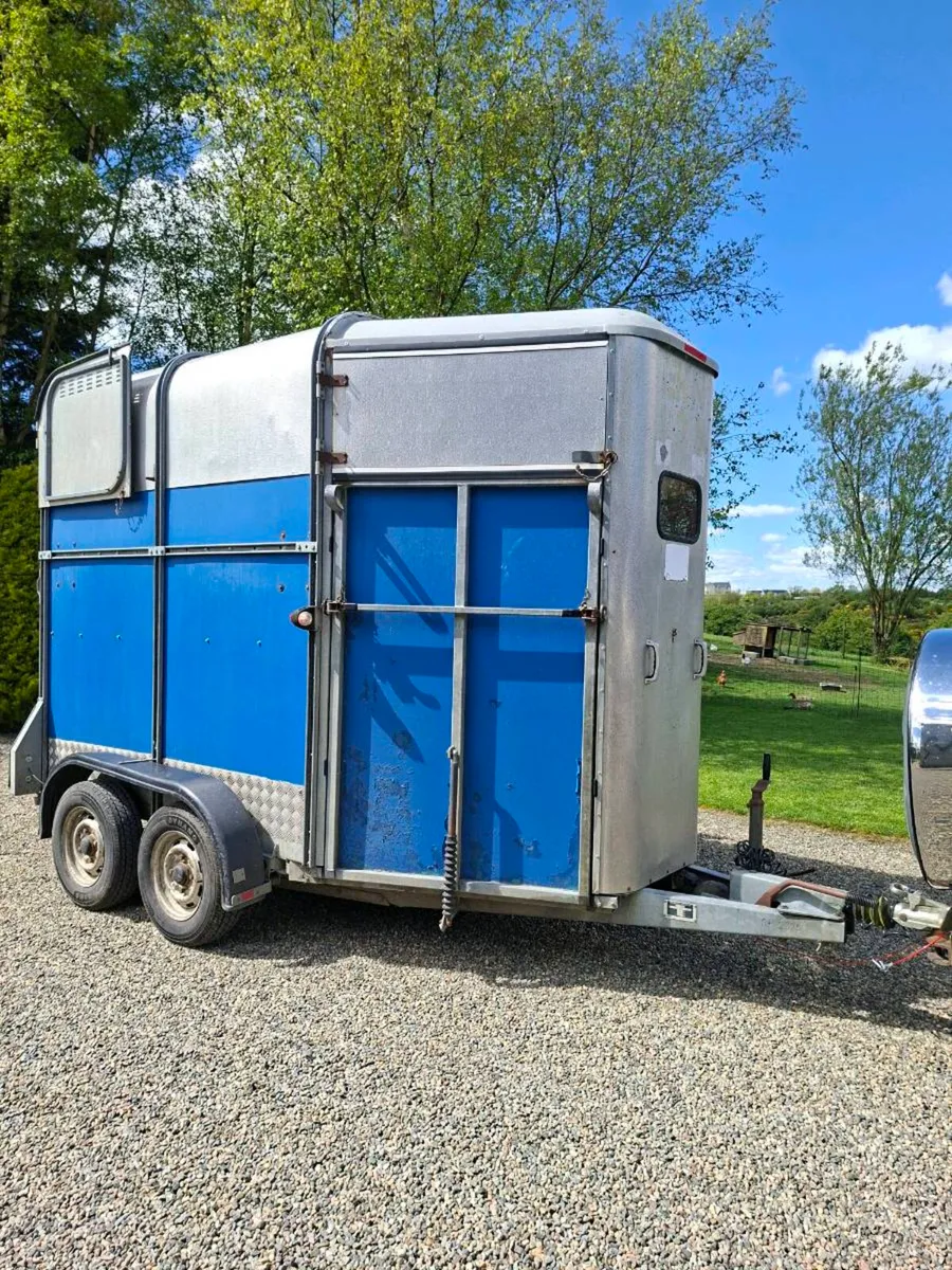 Ifor Williams 505 Hunter Horsebox - Image 2