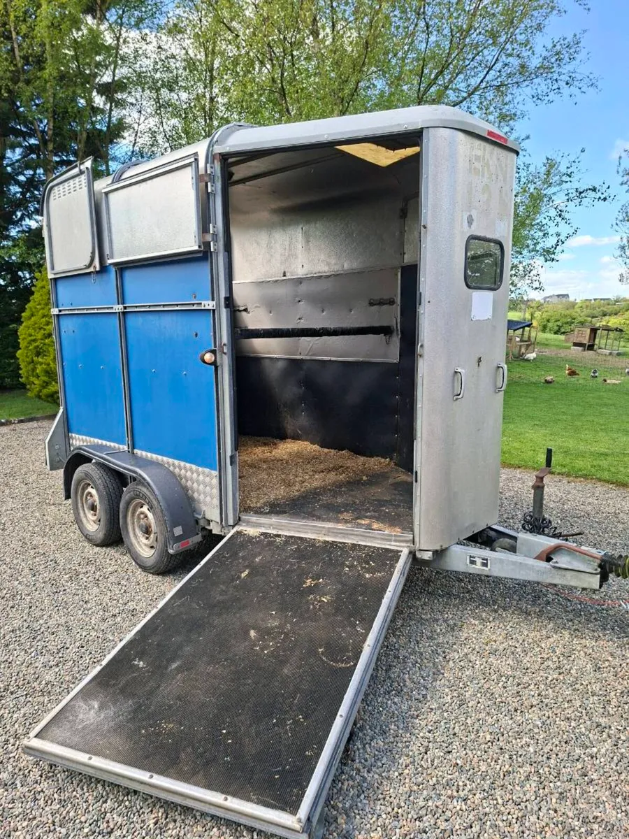 Ifor Williams 505 Hunter Horsebox - Image 3