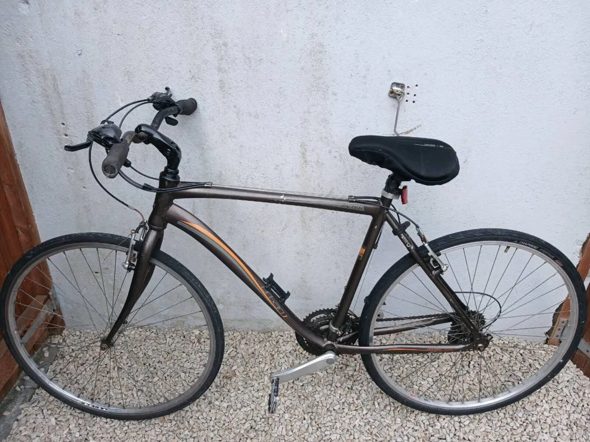 Adult Bike - Image 1