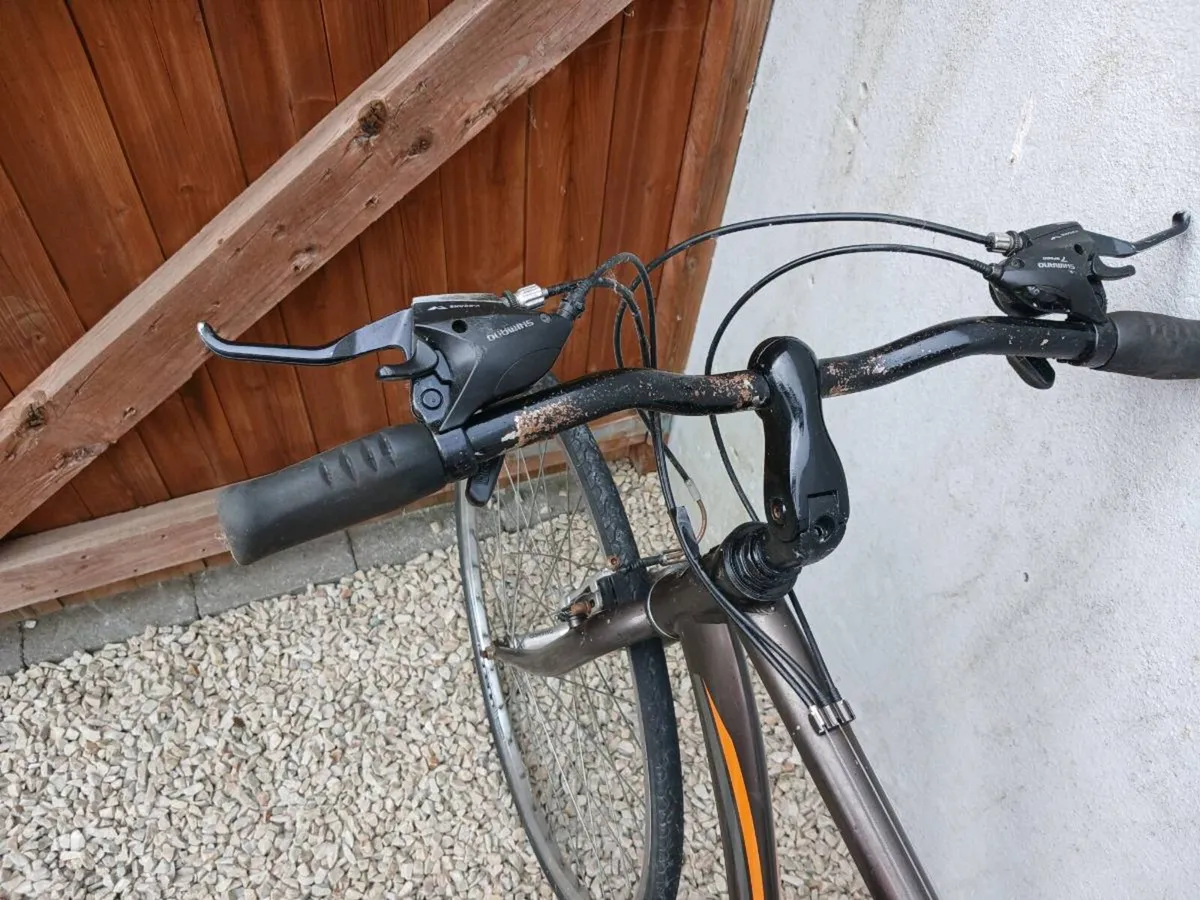 Adult Bike - Image 2