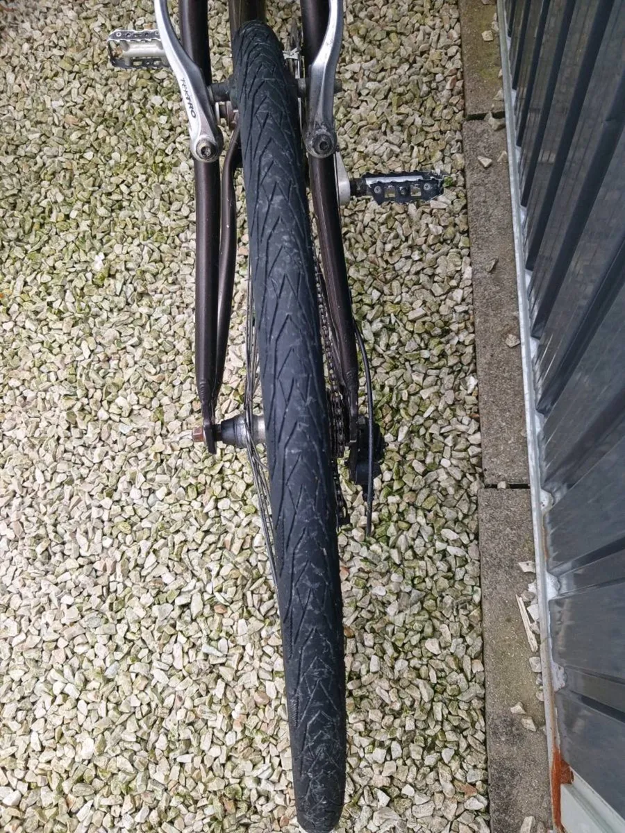 Adult Bike - Image 3