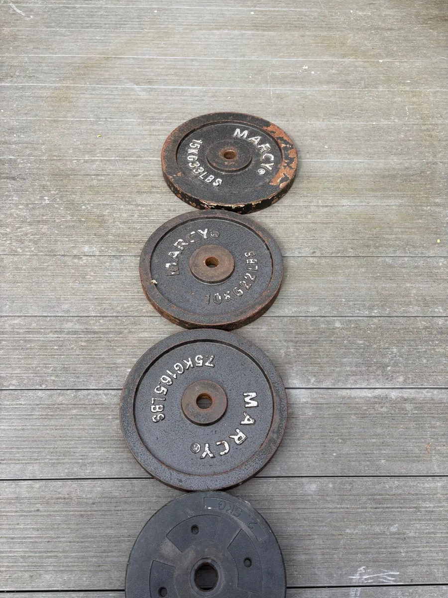 Gym plates adjustable