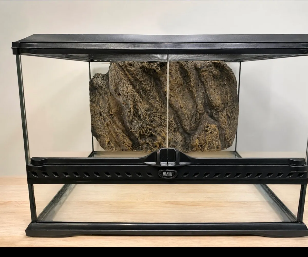 Terrarium for sale 45×45×30