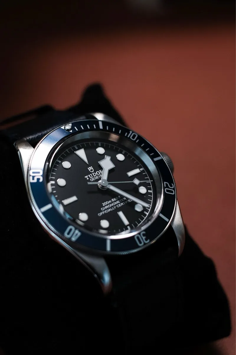 Tudor Black Bay 41 M79230B - Image 2