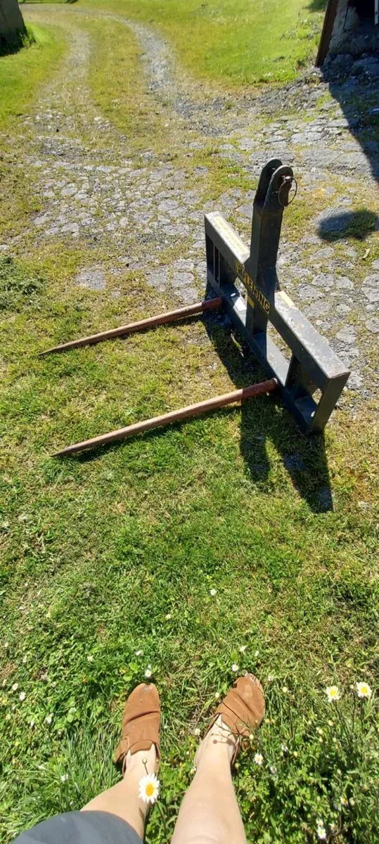 Fleming Twin Spike Bale Carrier - Image 4