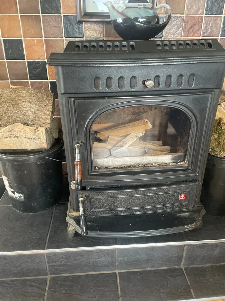 Wood Burning Stove - Image 2