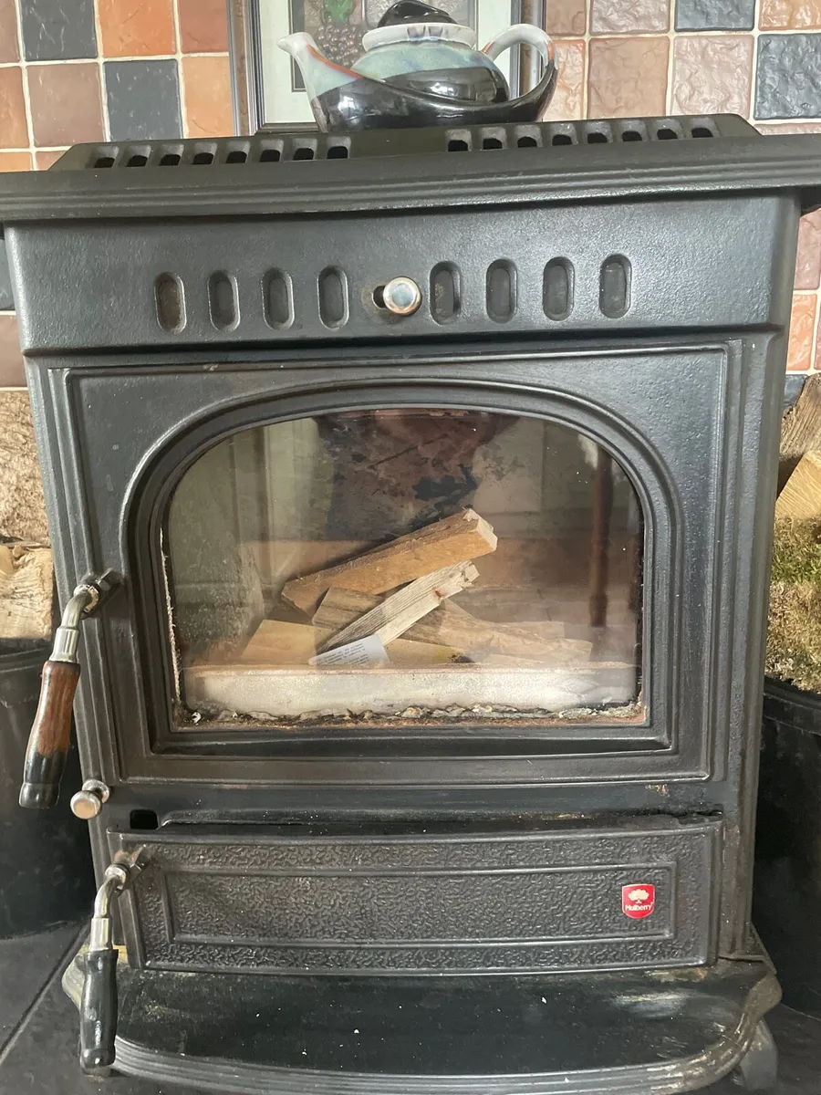 Wood Burning Stove - Image 4