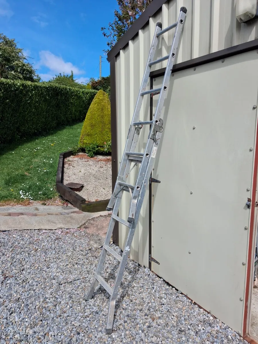 Ladder