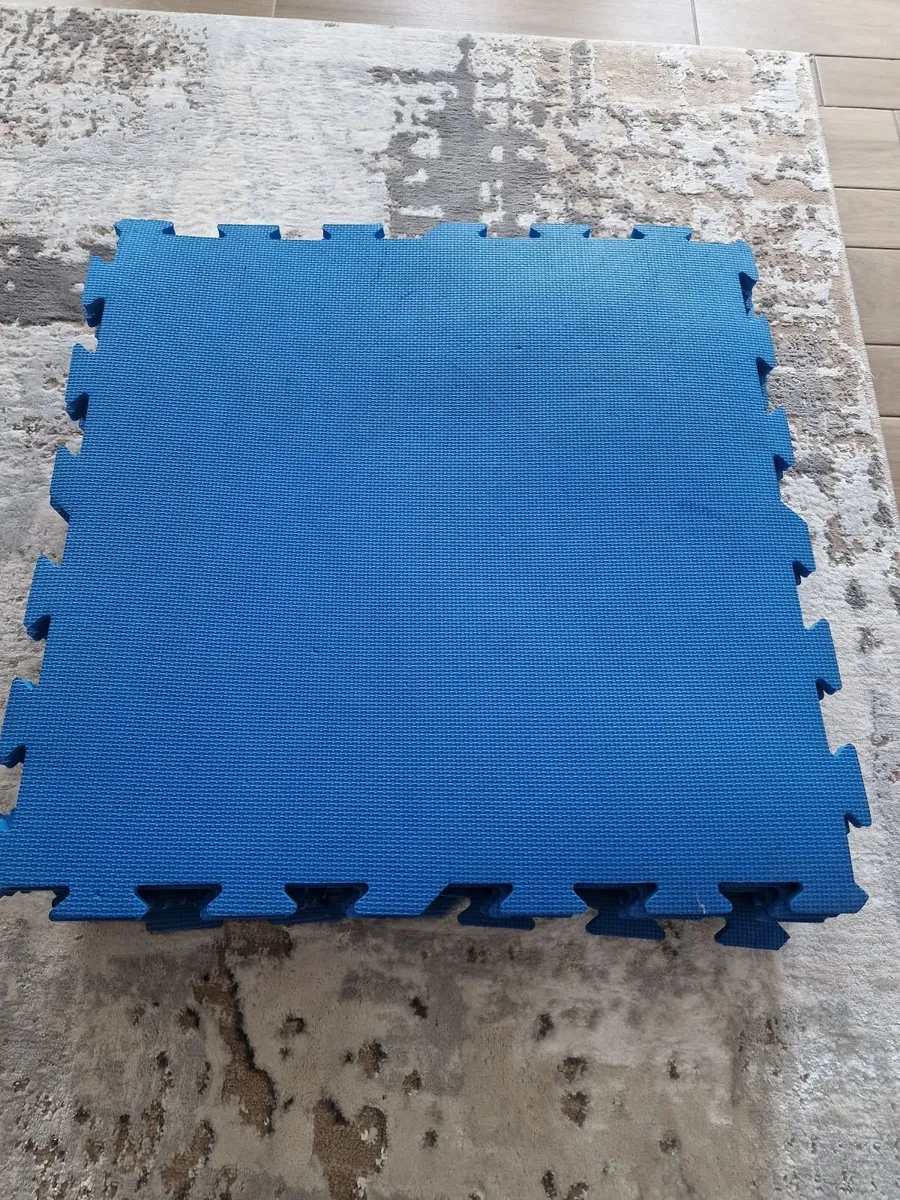 Playmats - Image 1