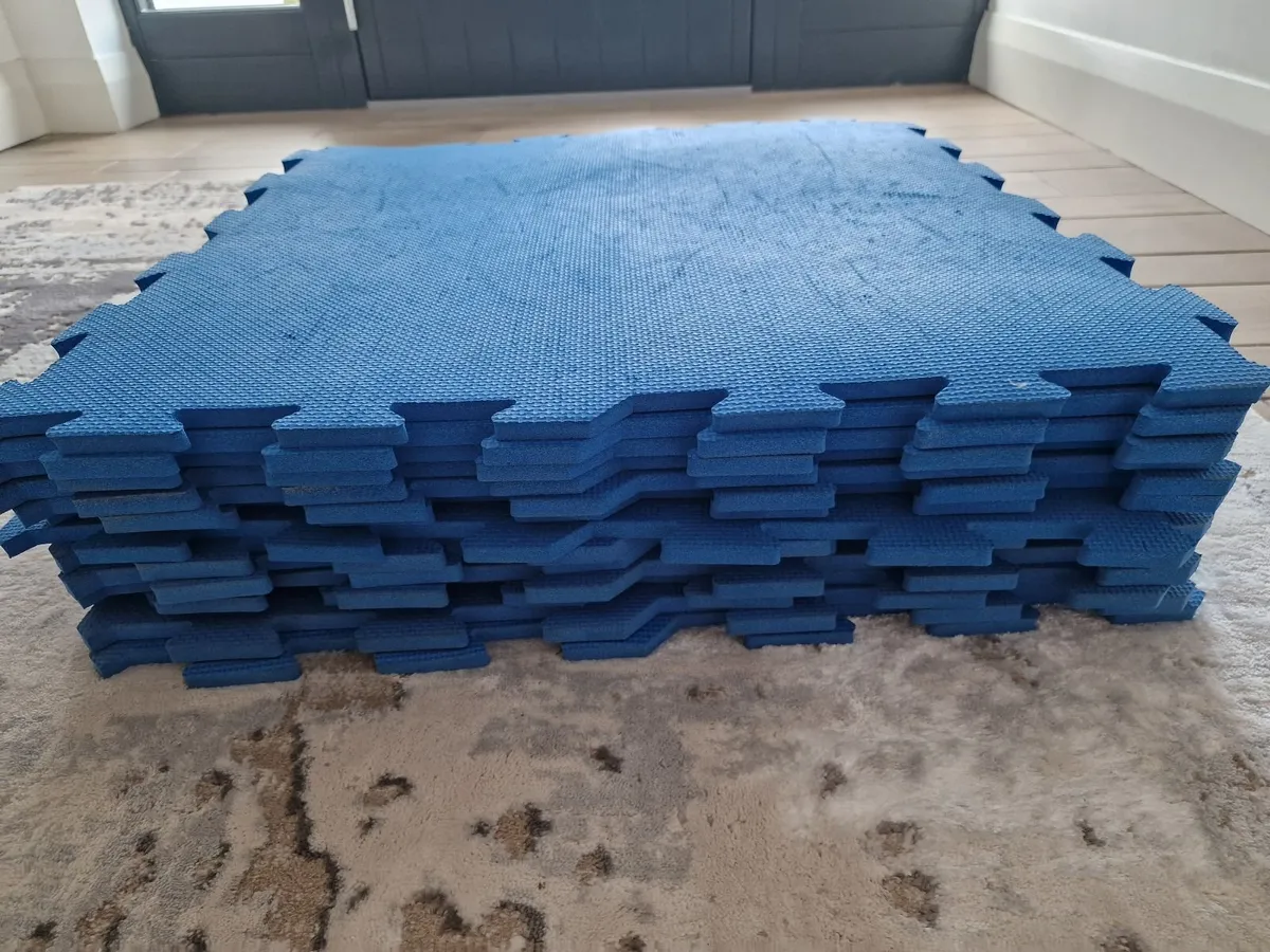 Playmats - Image 2