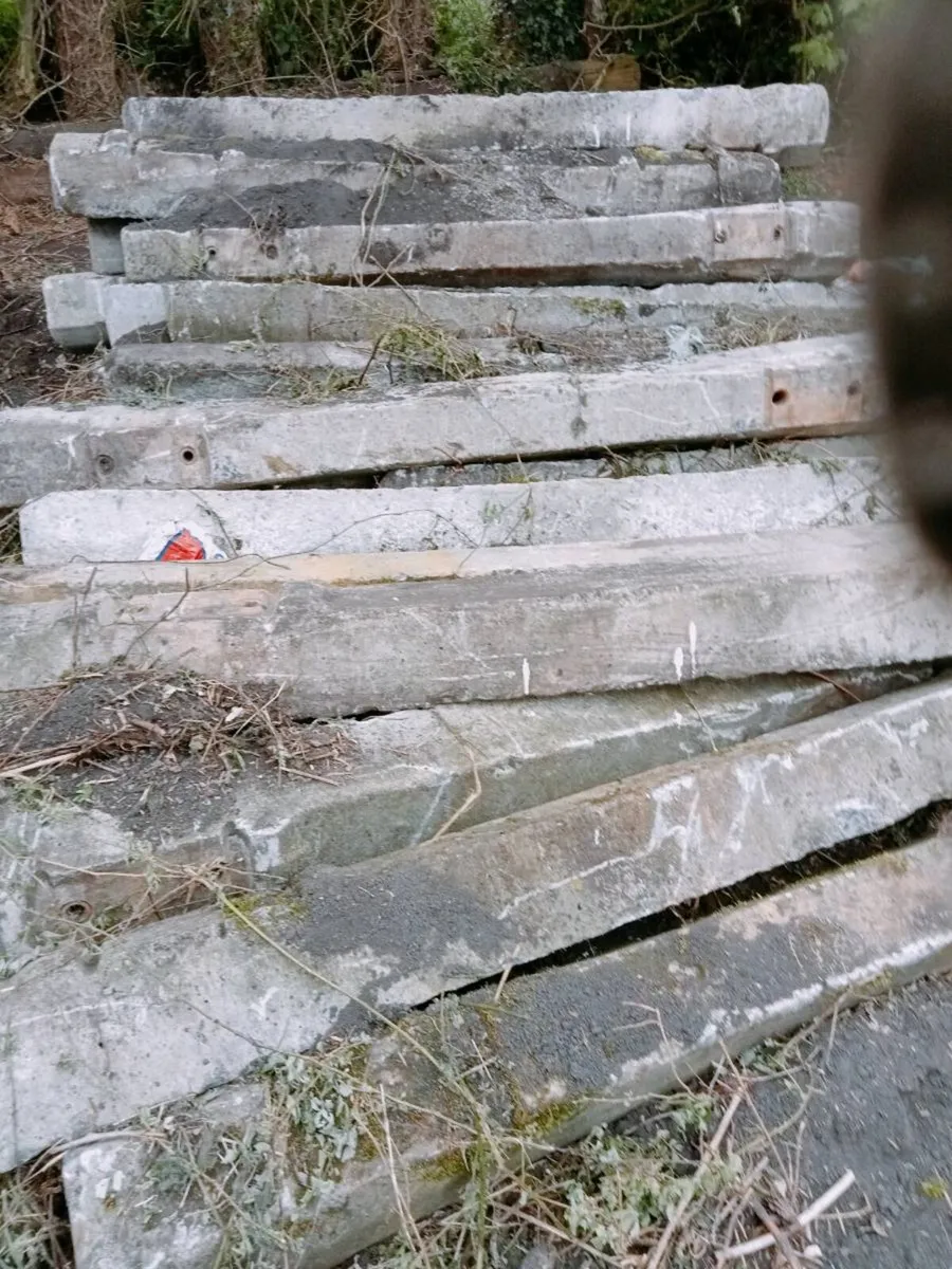 Concrete - Image 1
