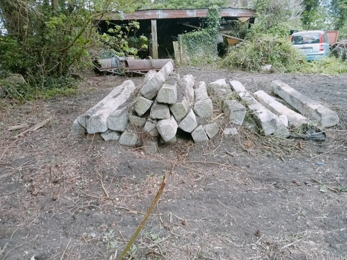 Concrete - Image 2