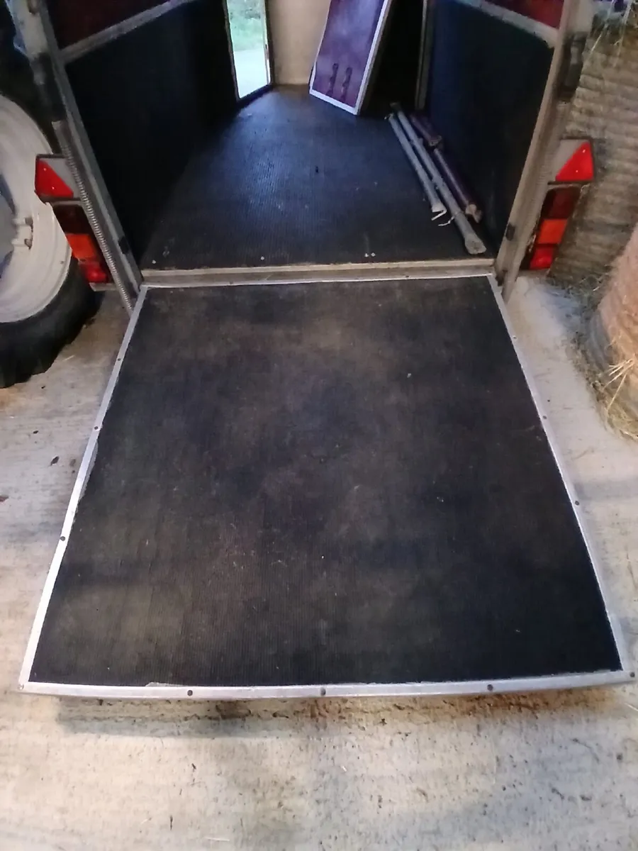 Horse Box , Ifor Williams HB505 - Image 2