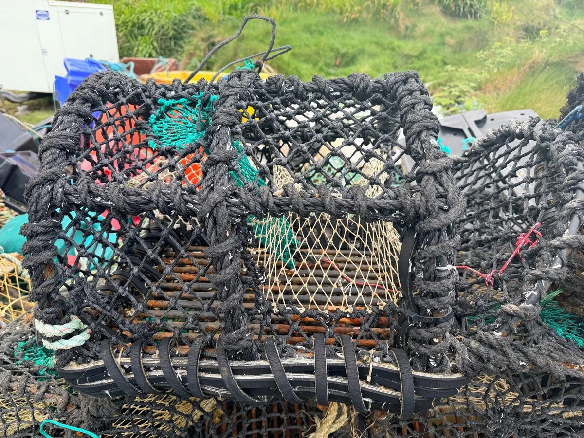 Lobster pots - Image 1