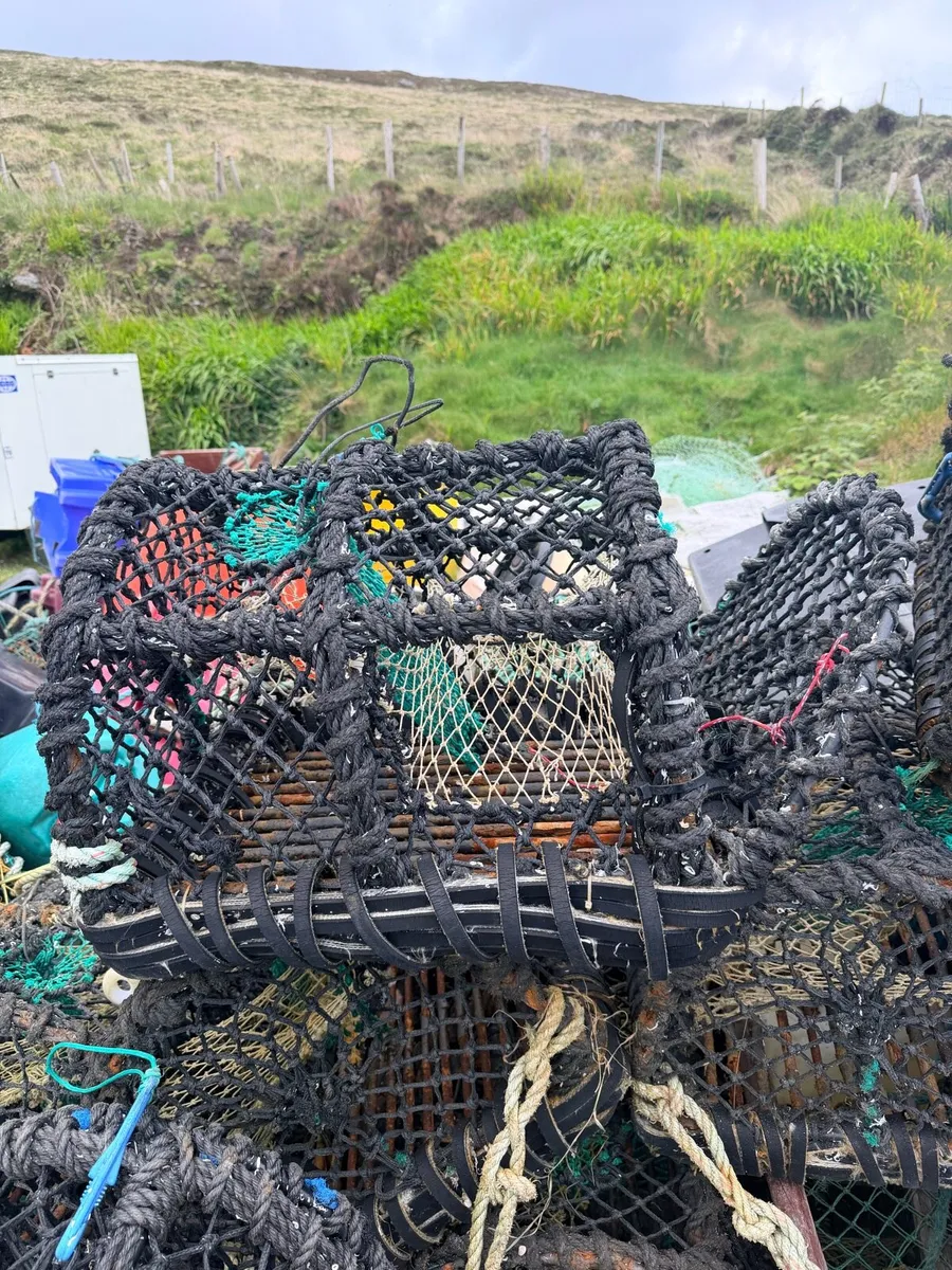 Lobster pots - Image 2