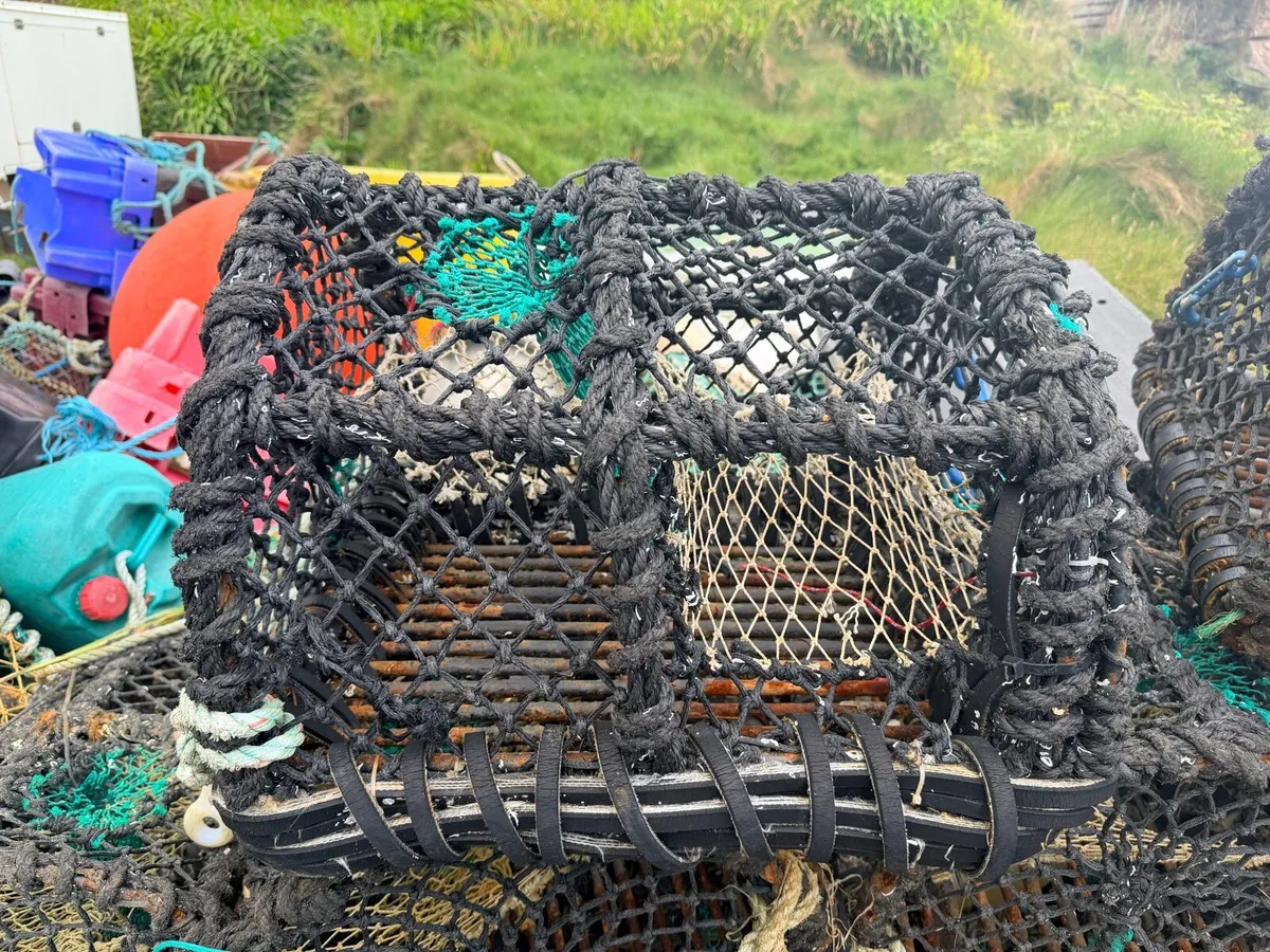 Lobster pots - Image 4