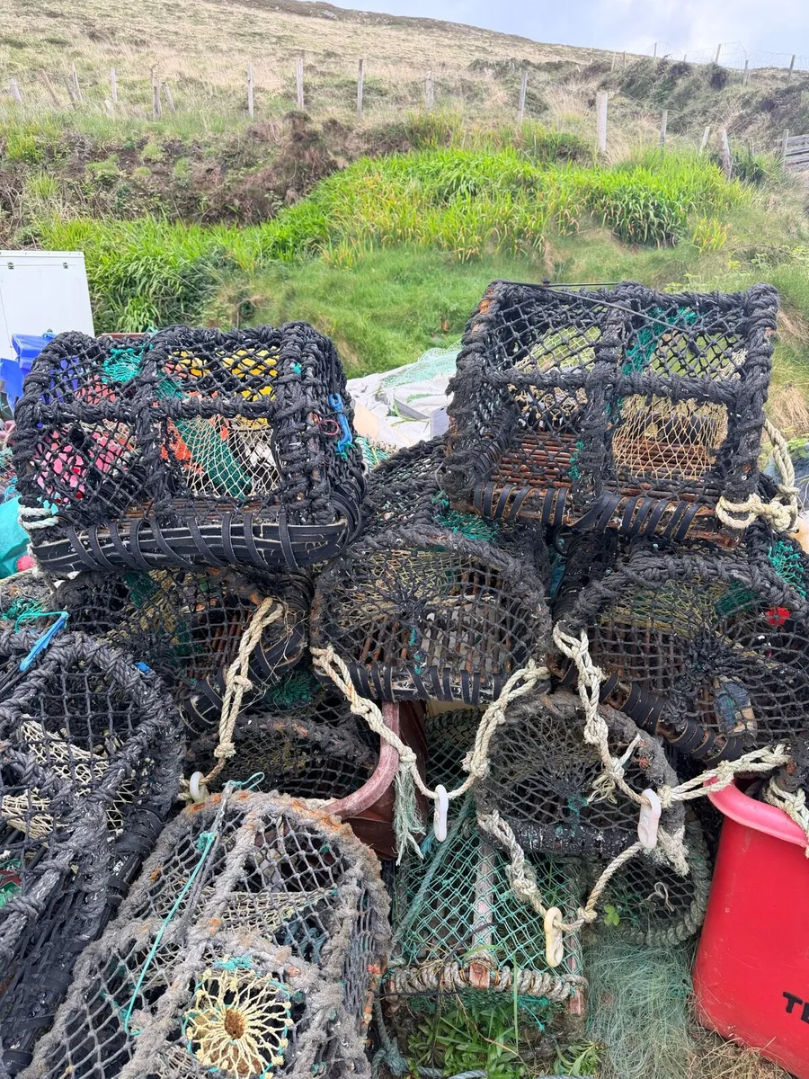 Lobster pots - Image 3