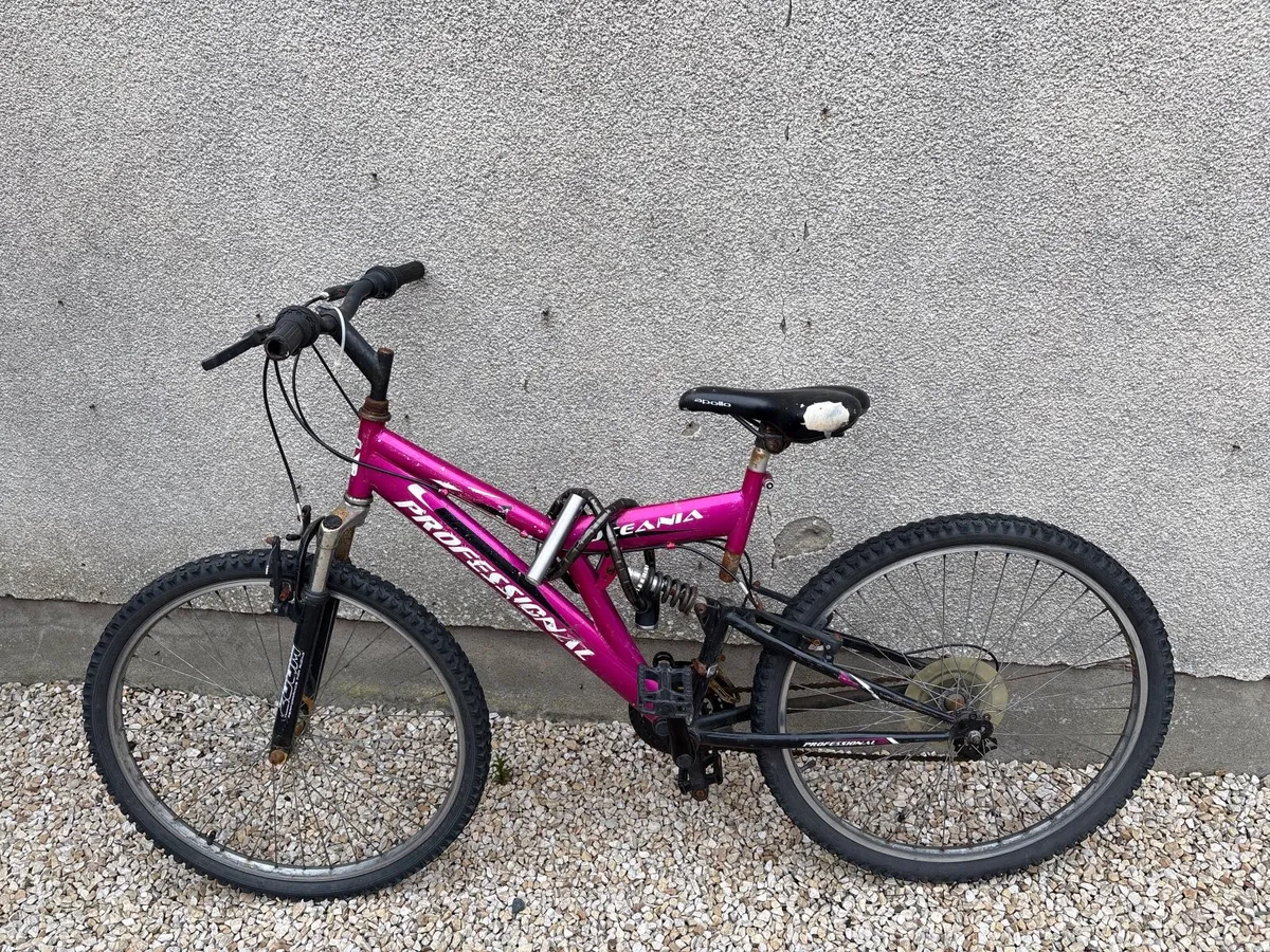 Bicycle - Image 1
