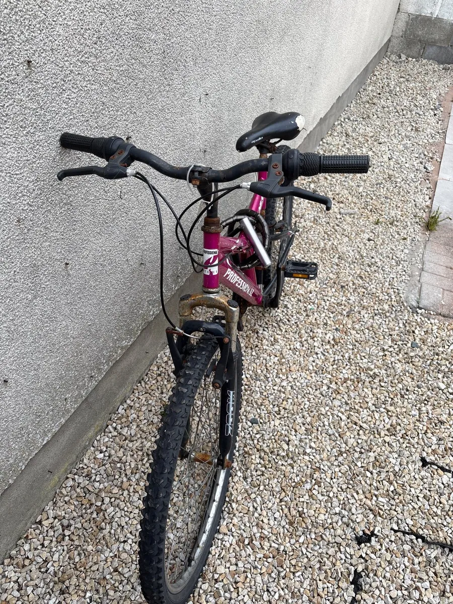 Bicycle - Image 2