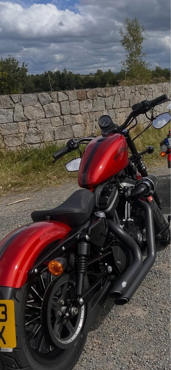 Harley Davidson Sportster 883 - Image 2