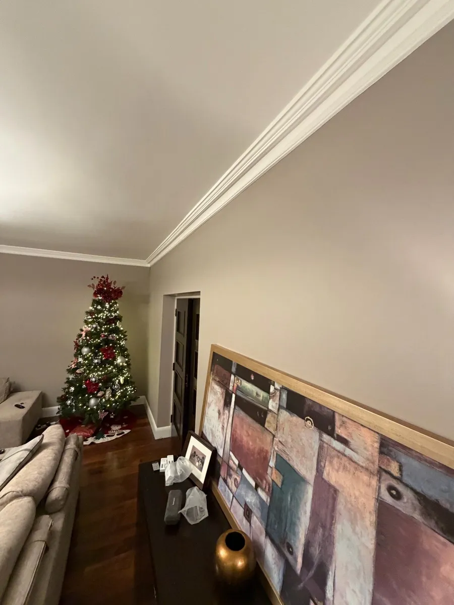 Plaster Mouldings Coving - Image 3