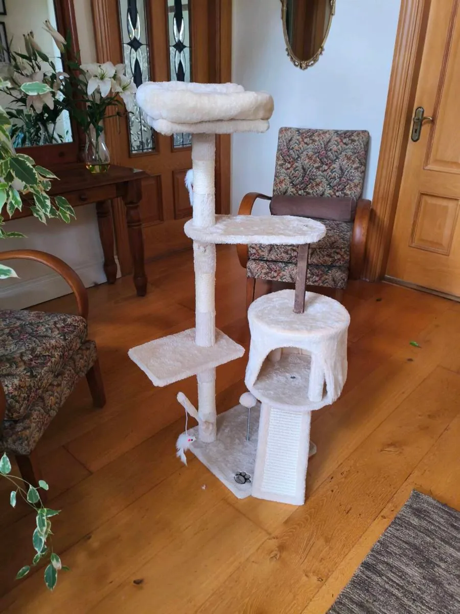 Like new cat frame,40 Euro hardly used - Image 1