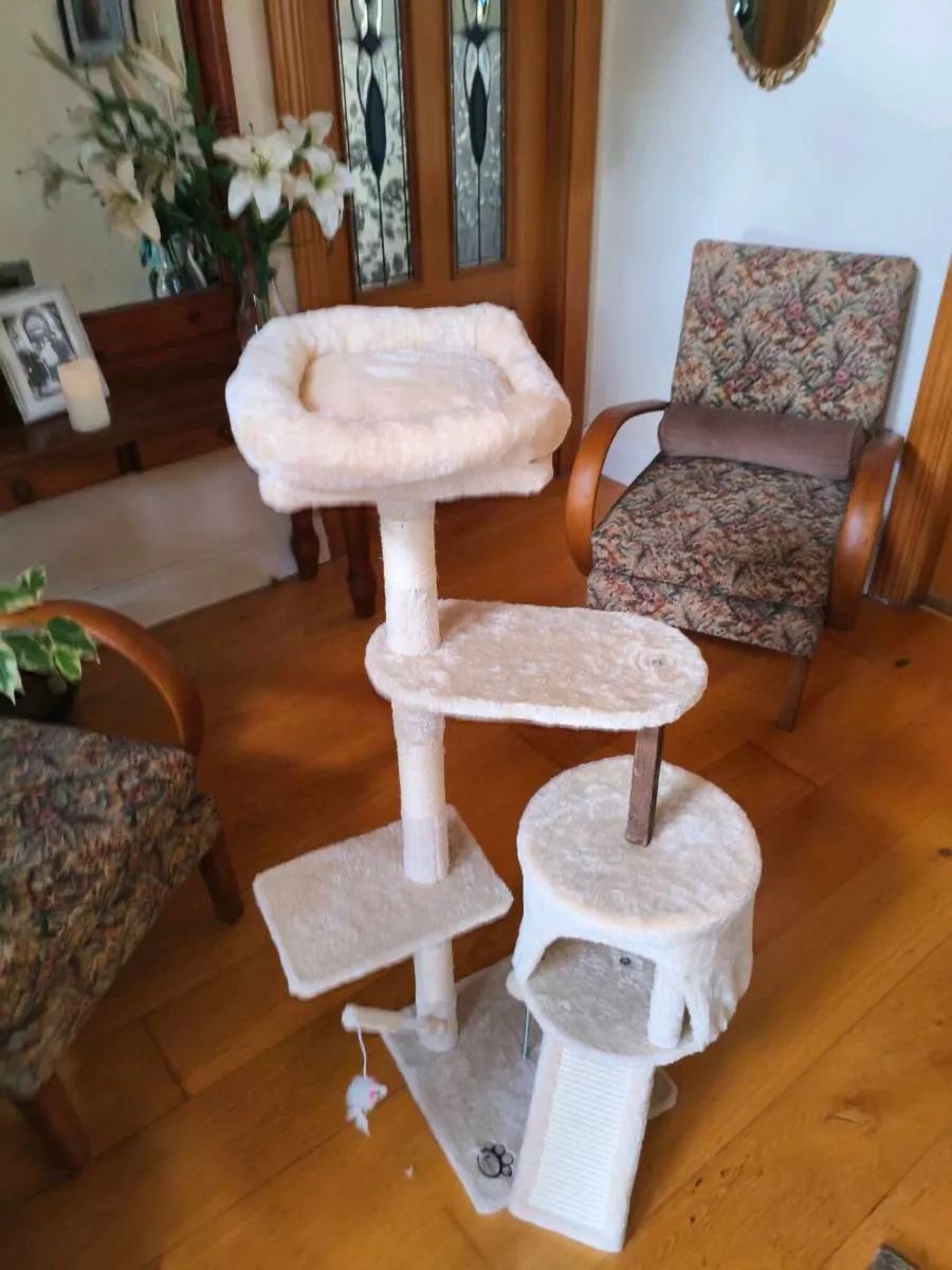 Like new cat frame,40 Euro hardly used - Image 2