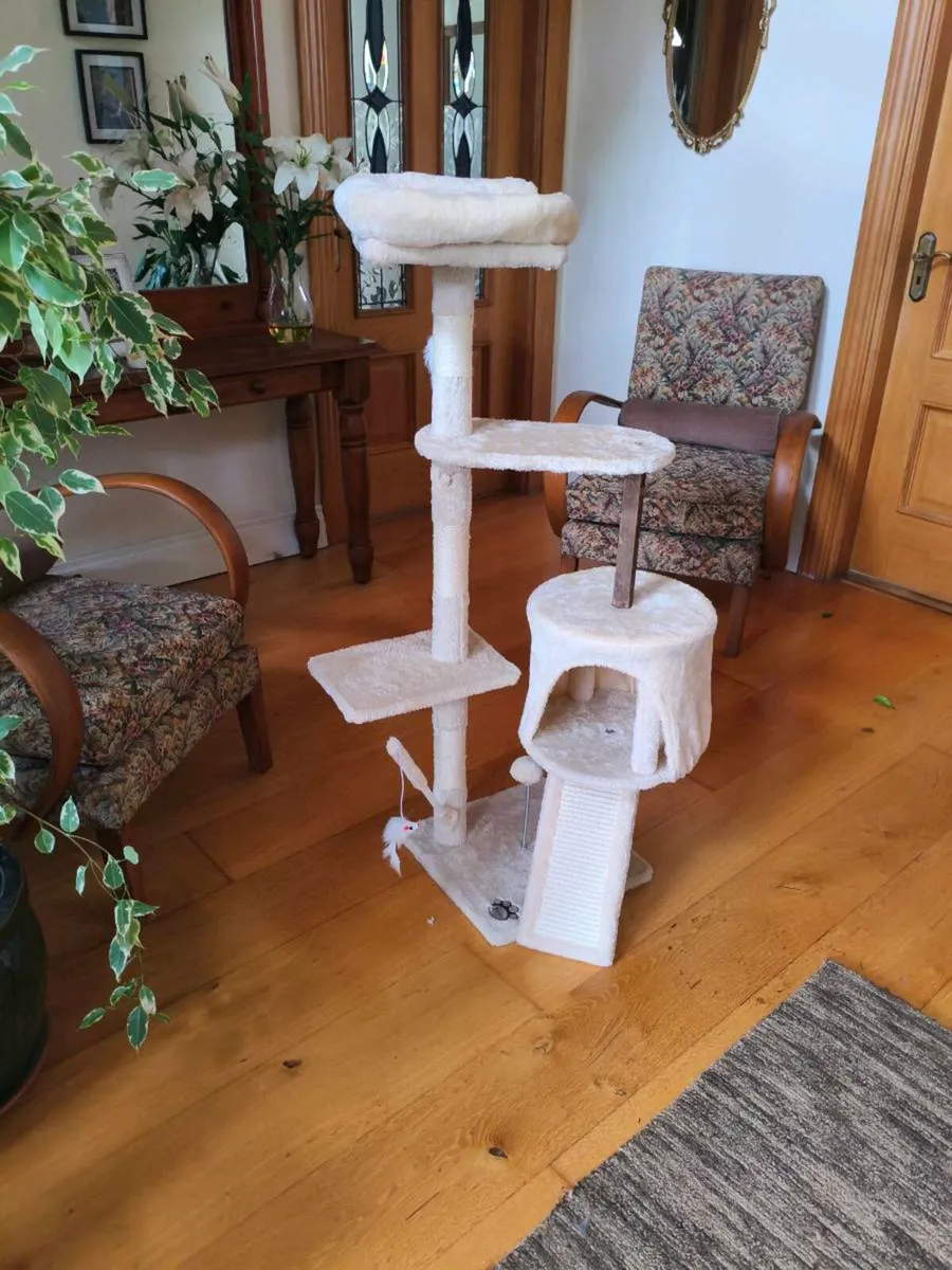 Like new cat frame,40 Euro hardly used - Image 3