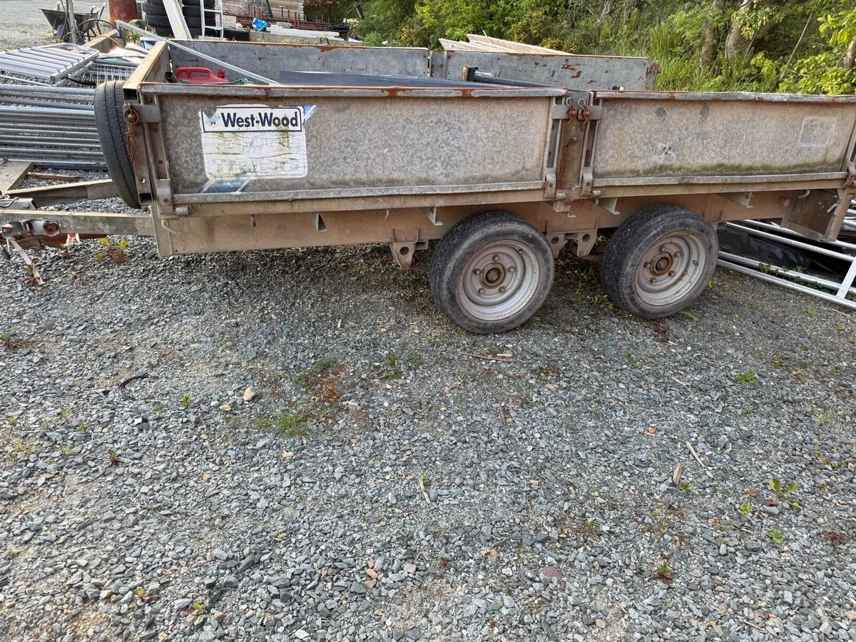 Ivor Williams 10x5 trailer - Image 2