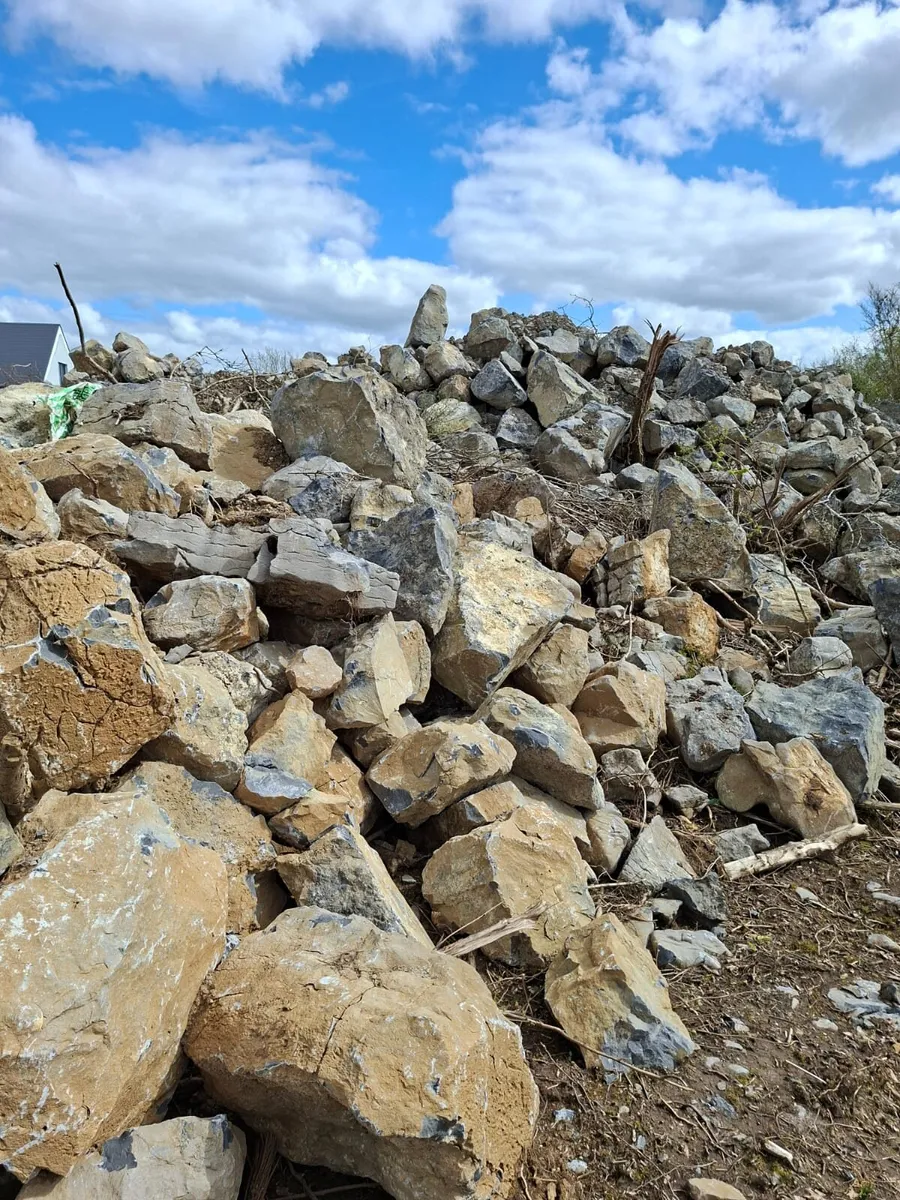 Stone fill free to take away - Image 1