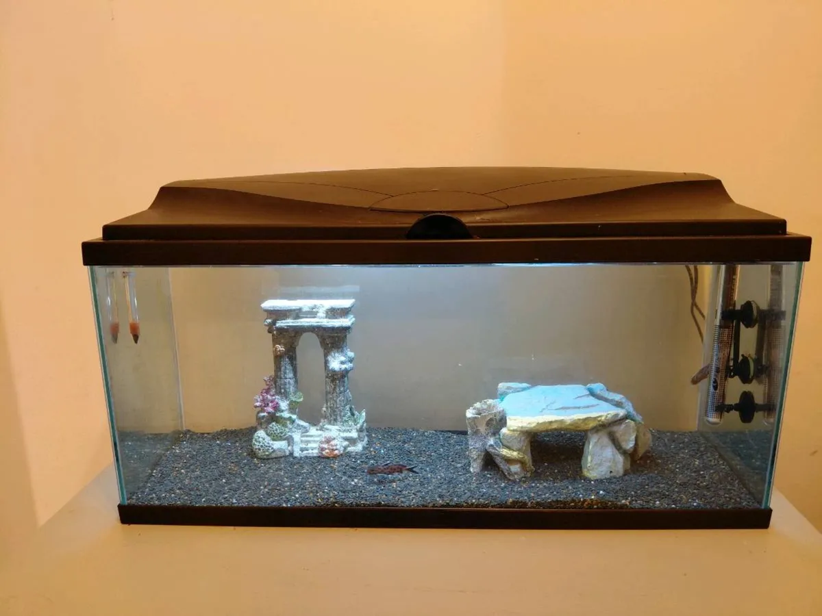 Fish tank - Image 2