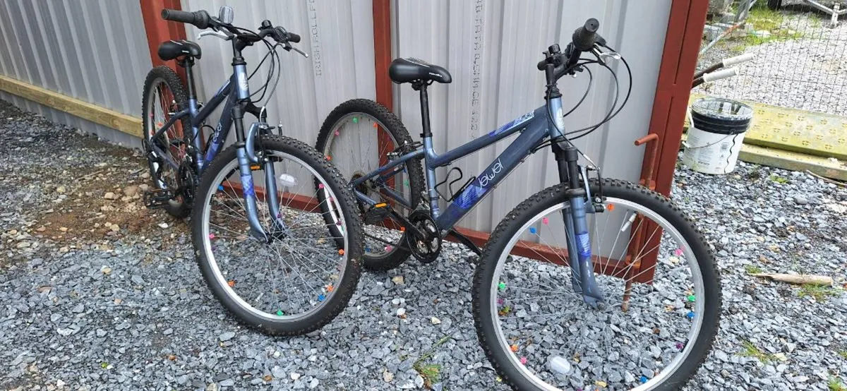 Girls Mountain Bike - Image 2