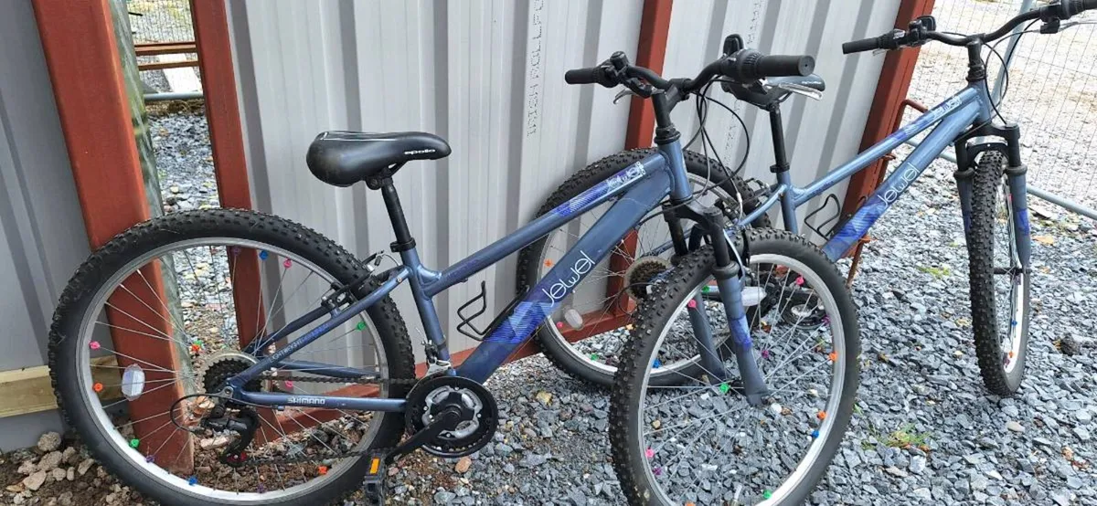 Girls Mountain Bike - Image 3