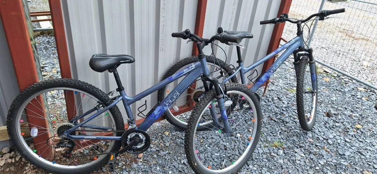 Girls Mountain Bike - Image 1
