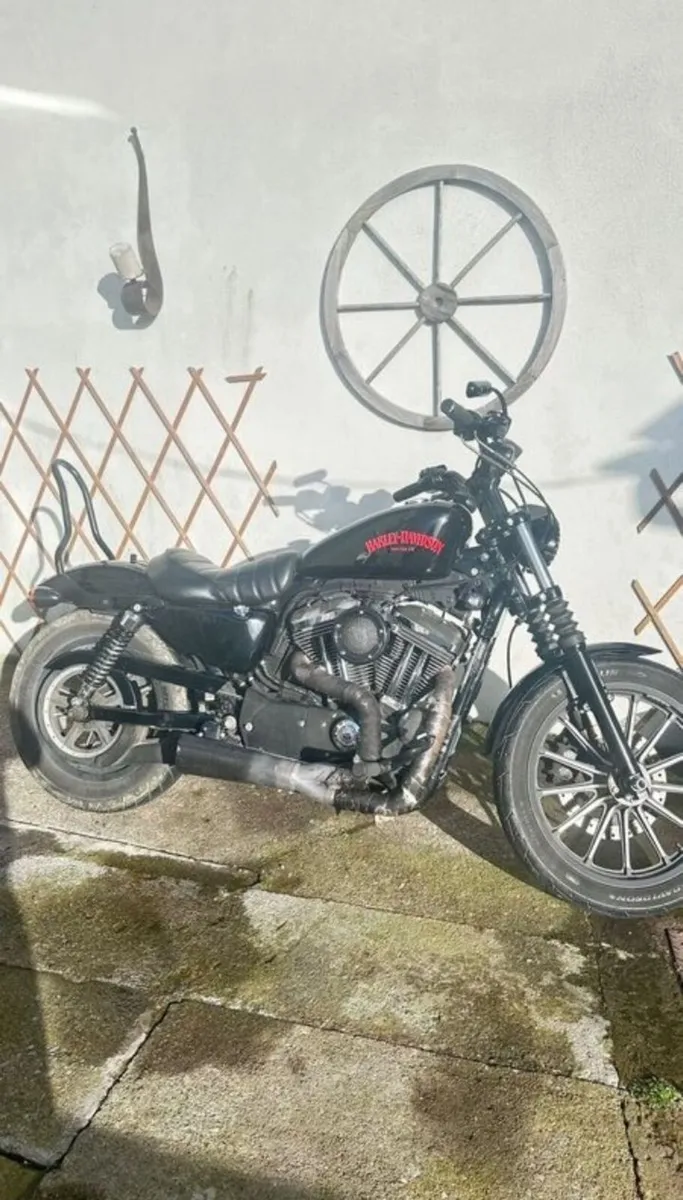 Harley Davidson - Image 4