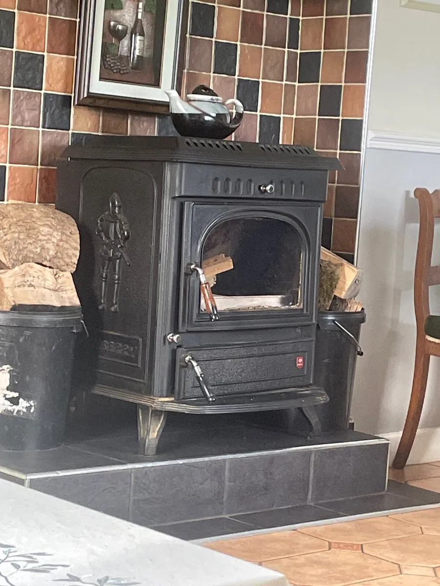 Wood Burning Stove - Image 2
