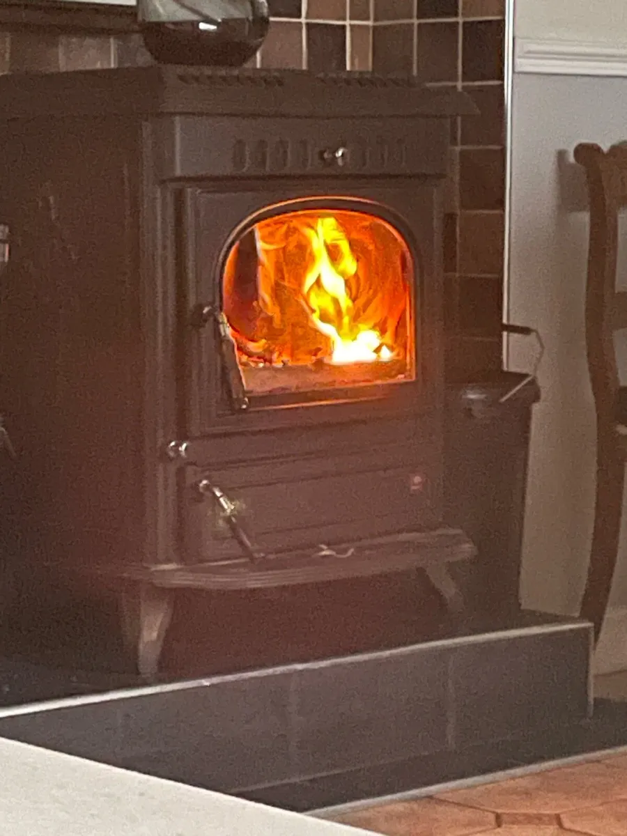 Wood Burning Stove - Image 1