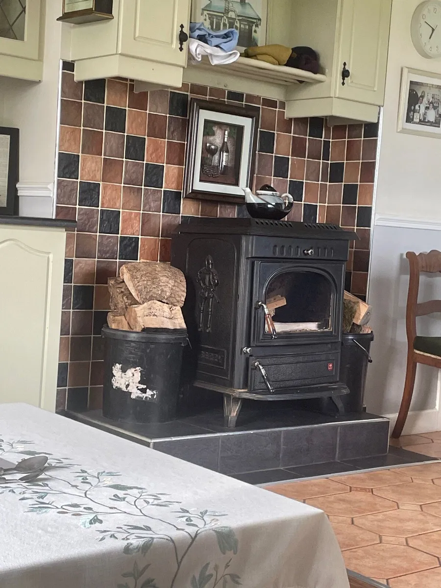 Wood Burning Stove - Image 3