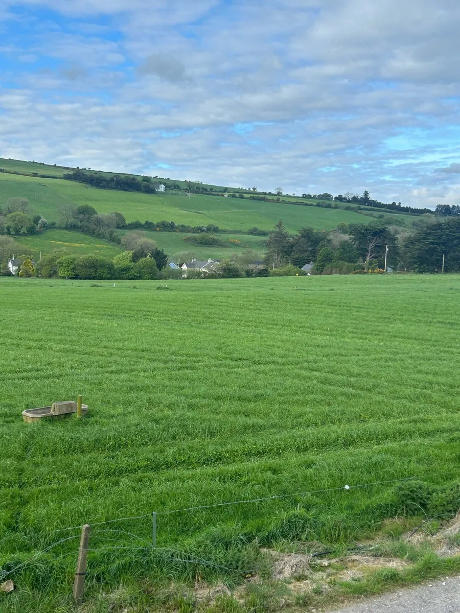 Growing silage - Image 1