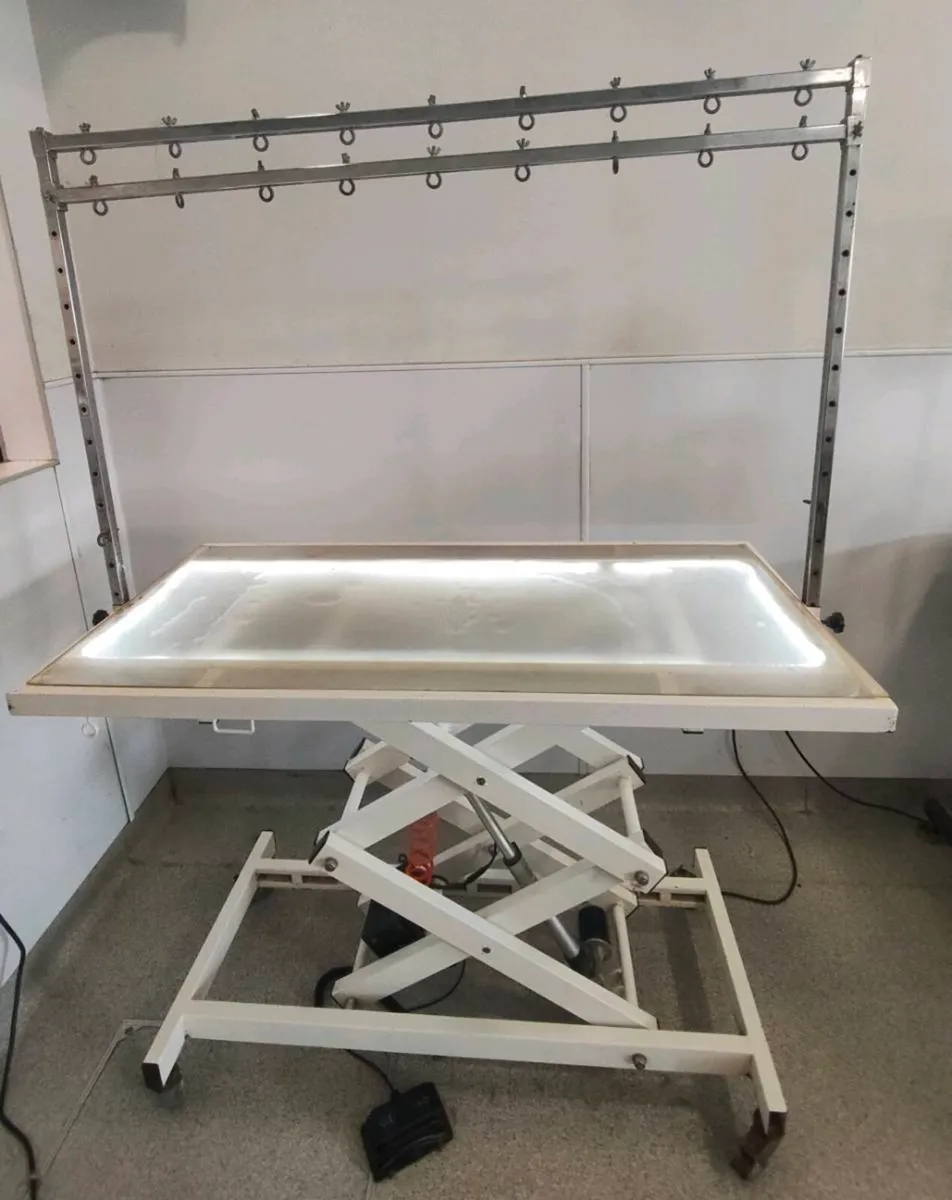 Electric dog grooming table with LED lighting